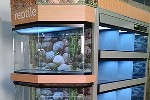 Reptile habitat