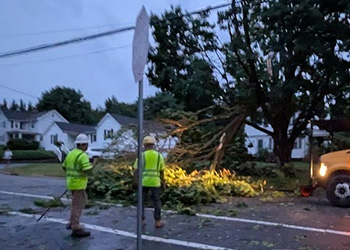 Workers securing the downed power line site.