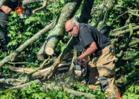 Cutting up downed tree.